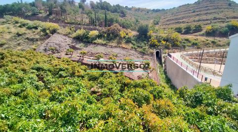 OPORTUNIDAD UNICA DE COMBINAR VIVIENDA Y HUERTO EN LA MISMA PROPIEDAD, imatge 2