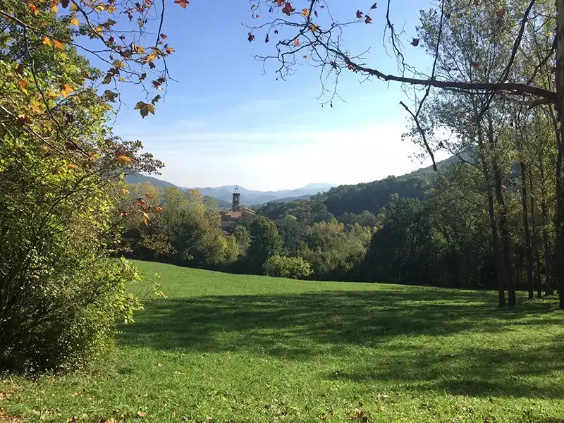 Jardí de Finca rústica en venda en Riudaura