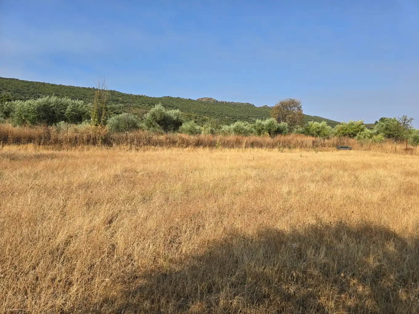 Terreni e lotti in vendita a Lugar San Anton, imagen 5