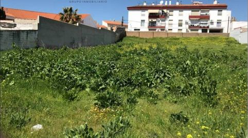 2 SOLARES DE 450 M2 CADA UNO A LA VENTA EN BELMEZ, imatge 3