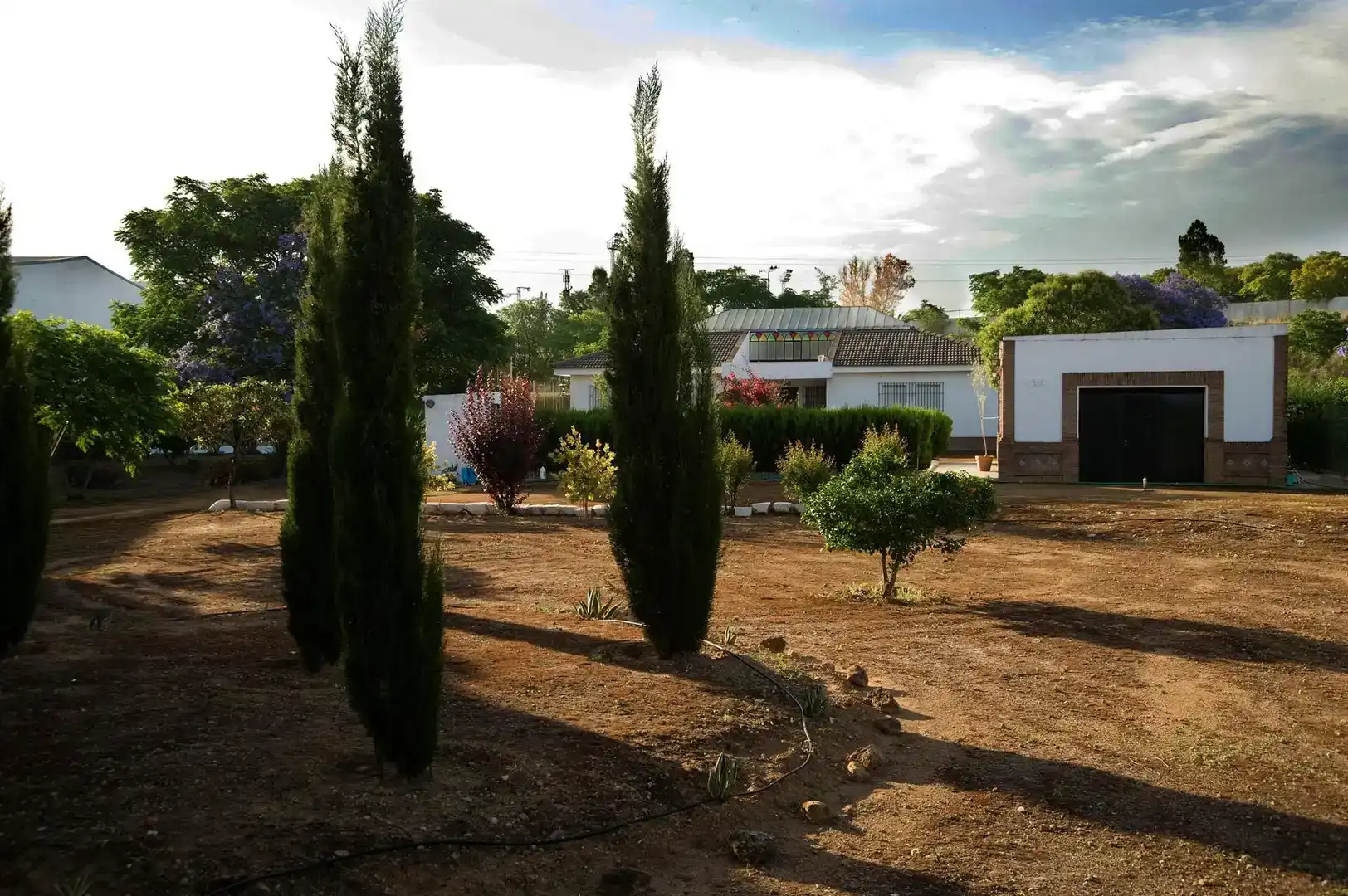 Jardí de Casa o xalet en venda en Carmona amb Aire condicionat, Jardí privat i Traster