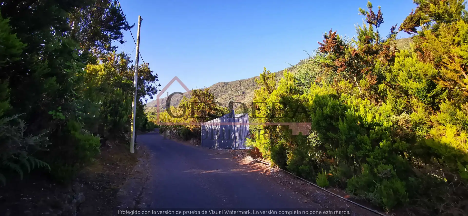 Terreny rústic en venda a Camino Lomo de la Viuda 56