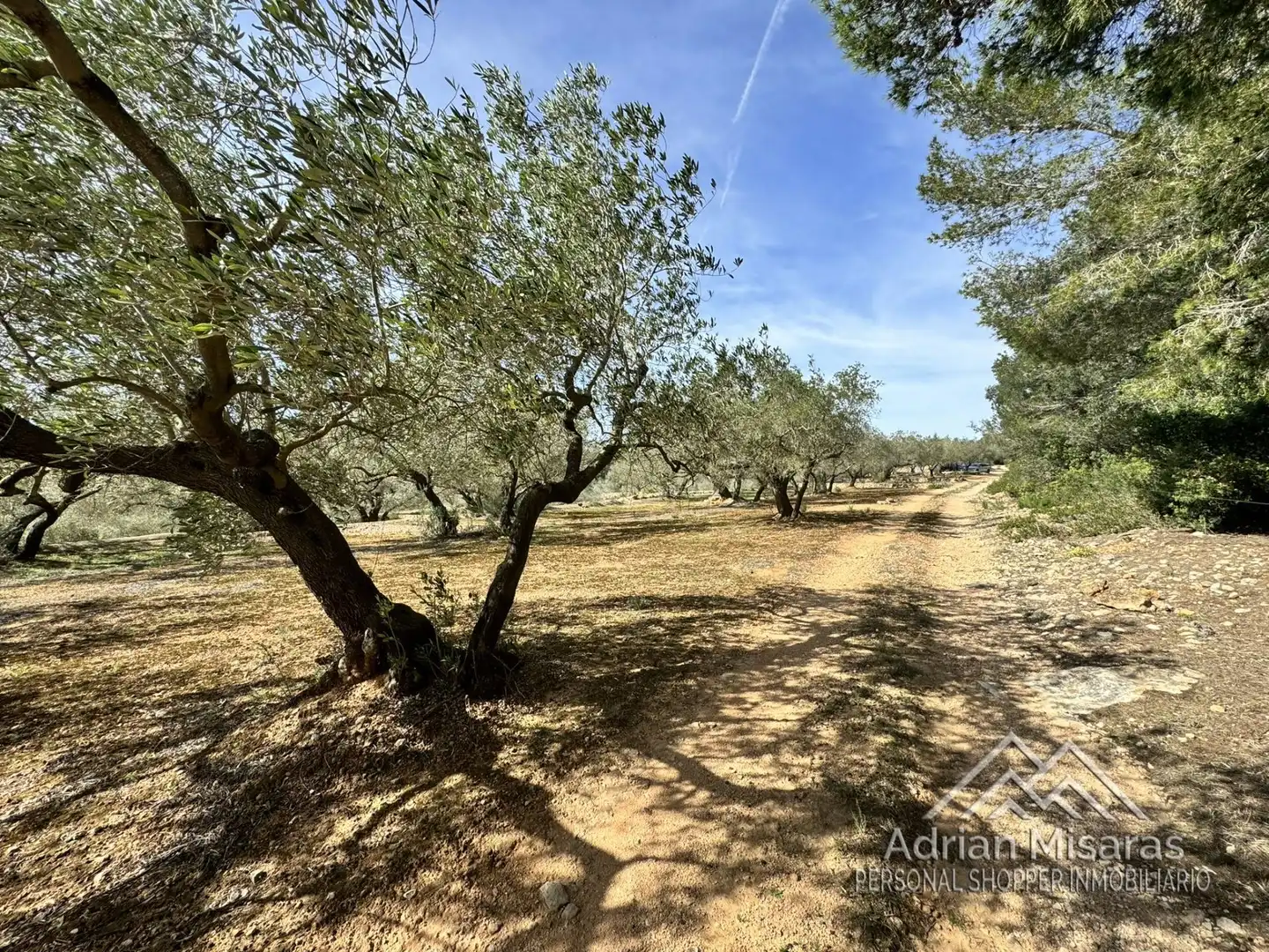 Terreno rústico en venta en L'Aldea, imagen 45