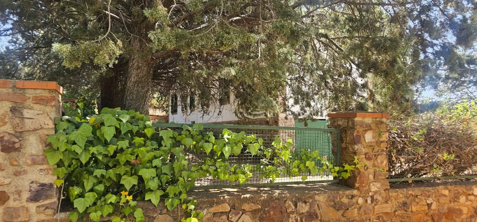 Garden of House or chalet for sale in Ciudad Real Capital  with Air Conditioner, Heating and Private garden