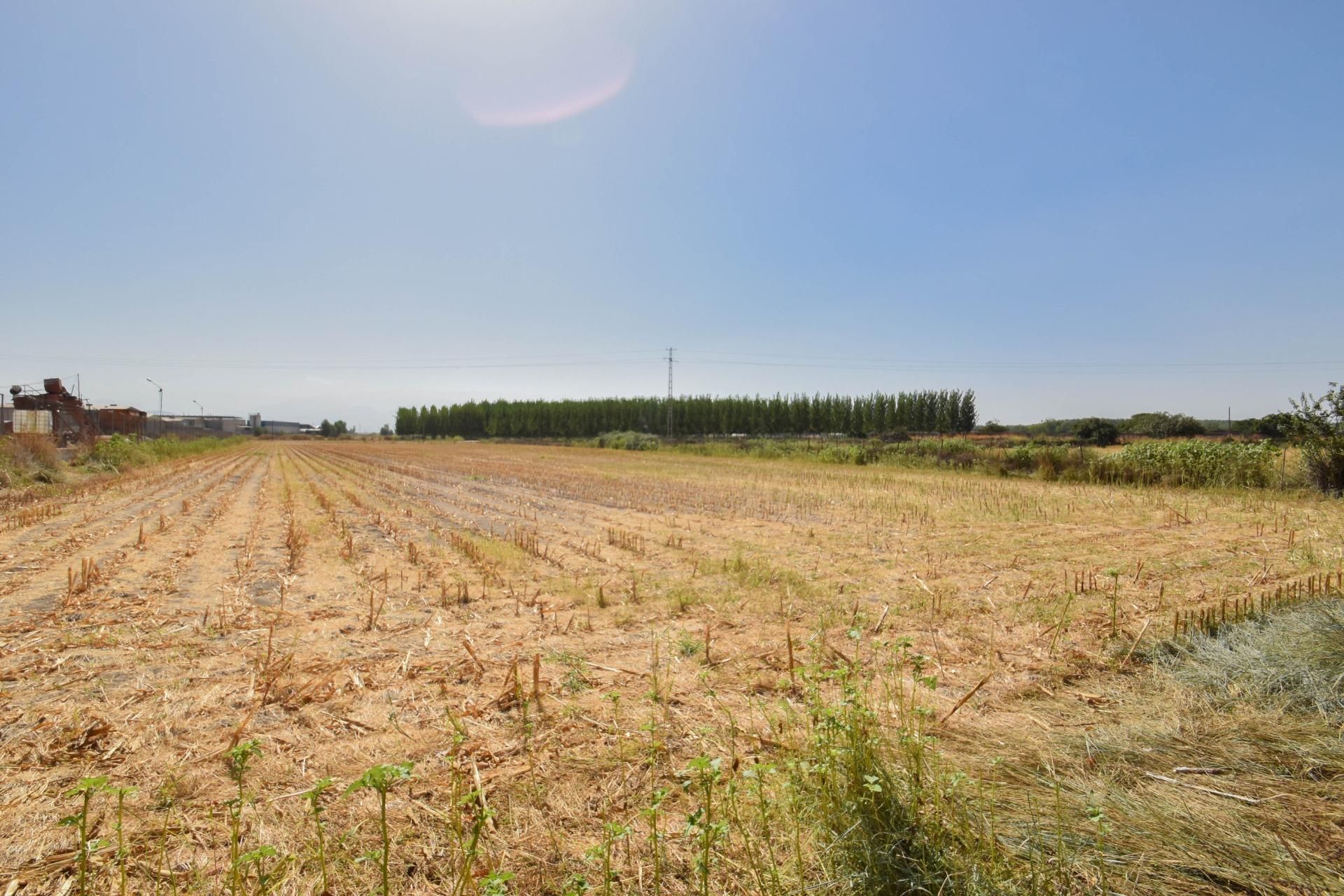 Finca rústica en venda en Atarfe