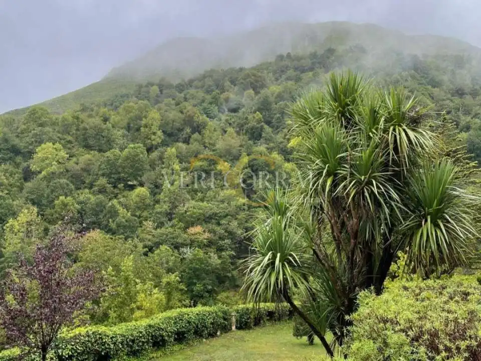 Vista exterior de Casa o chalet en venta en Caso con Calefacción, Jardín privado y Terraza