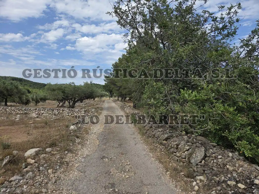 Finca rústica en venda en El Perelló
