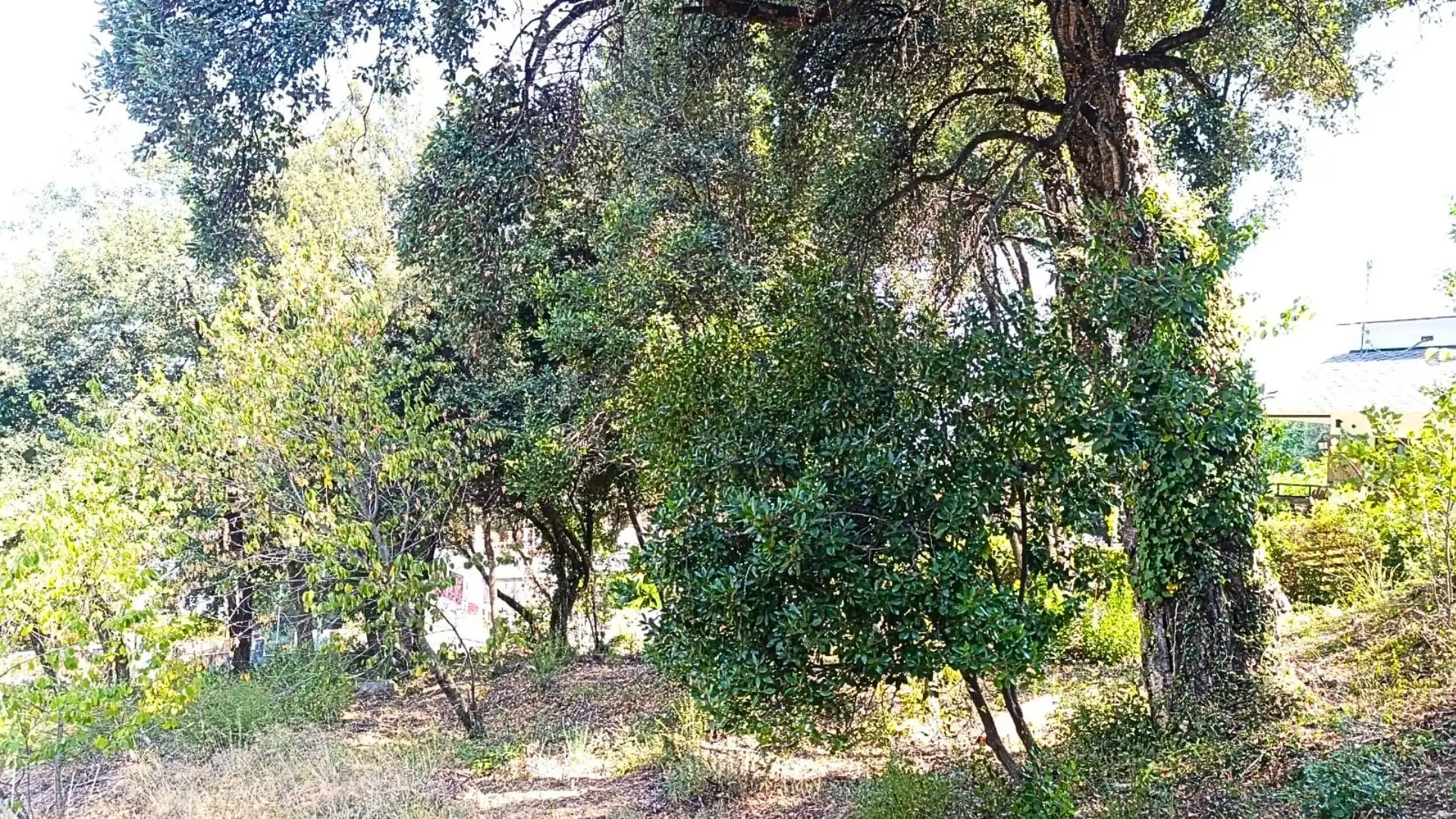 Rural land for sale in Calle Fredolic, imagen 6