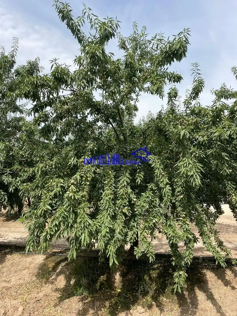 Finca rústica en venda en Periurbano Oeste - Sierra