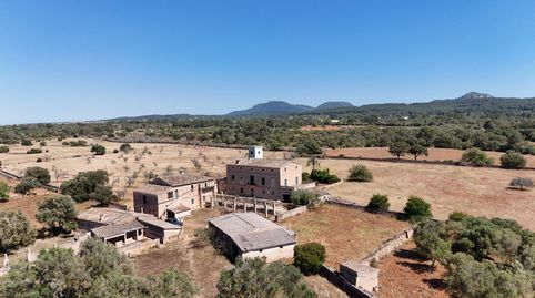 Foto 2 de Finca rústica en venta en Marina, Algaida, Illes Balears