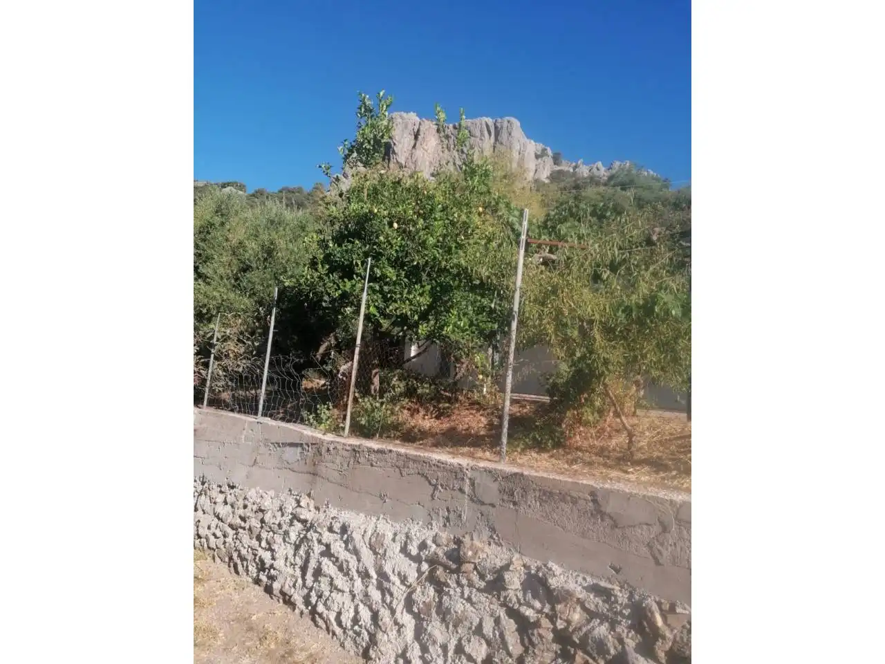 Casa rustica in vendita a Benalauría, imagen 8
