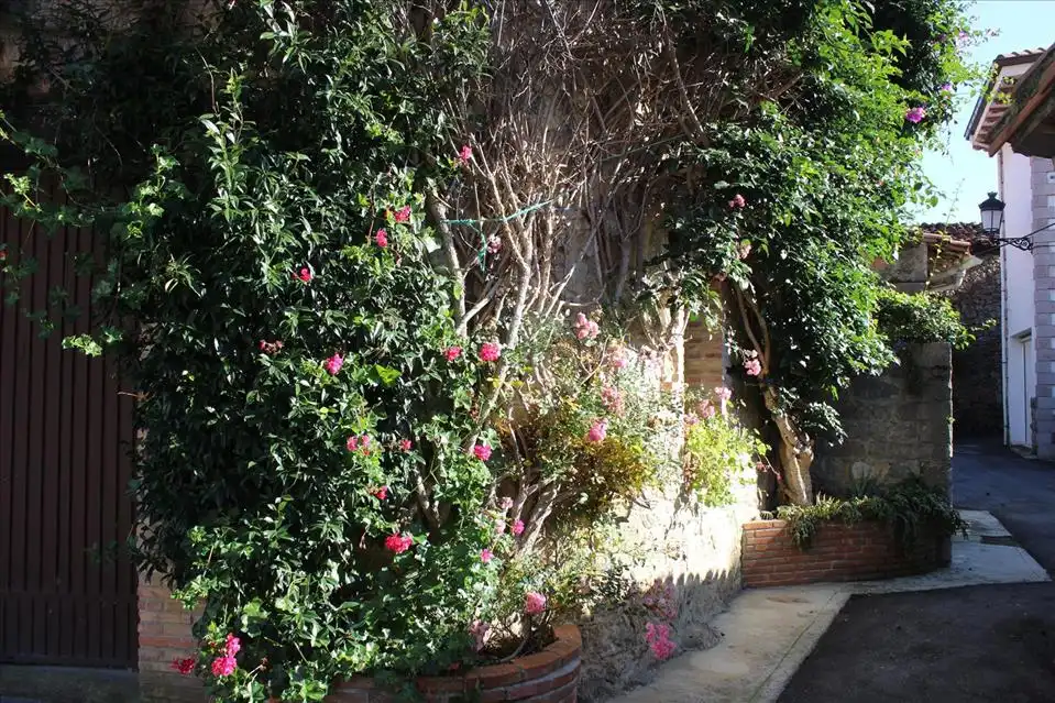 Jardí de Casa o xalet en venda en Peñamellera Baja amb Calefacció, Moblat i Internet