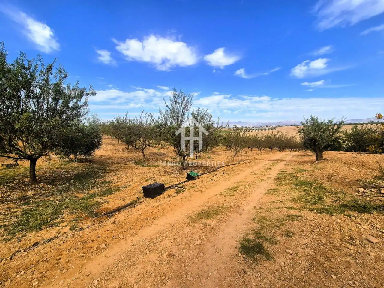 Rural land for sale in Moraleda de Zafayona, imagen 22