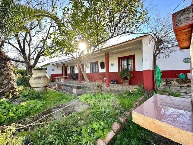 Exterior view of Country house for sale in Adamuz