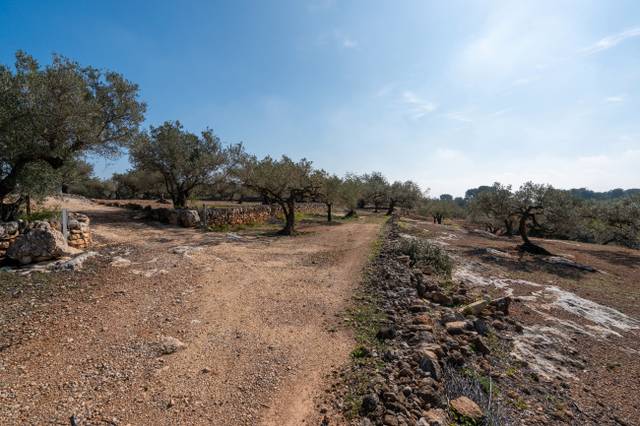 Terreno en Venta en Camí Del Filato, 1093 en Camarles