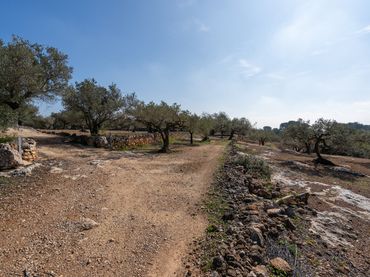 Rustikales Grundstück zum Verkauf in Camí Del Filato 1093