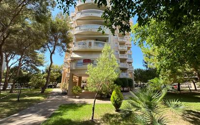 Vista exterior de Apartament en venda en Orihuela amb Jardí privat, Terrassa i Balcó