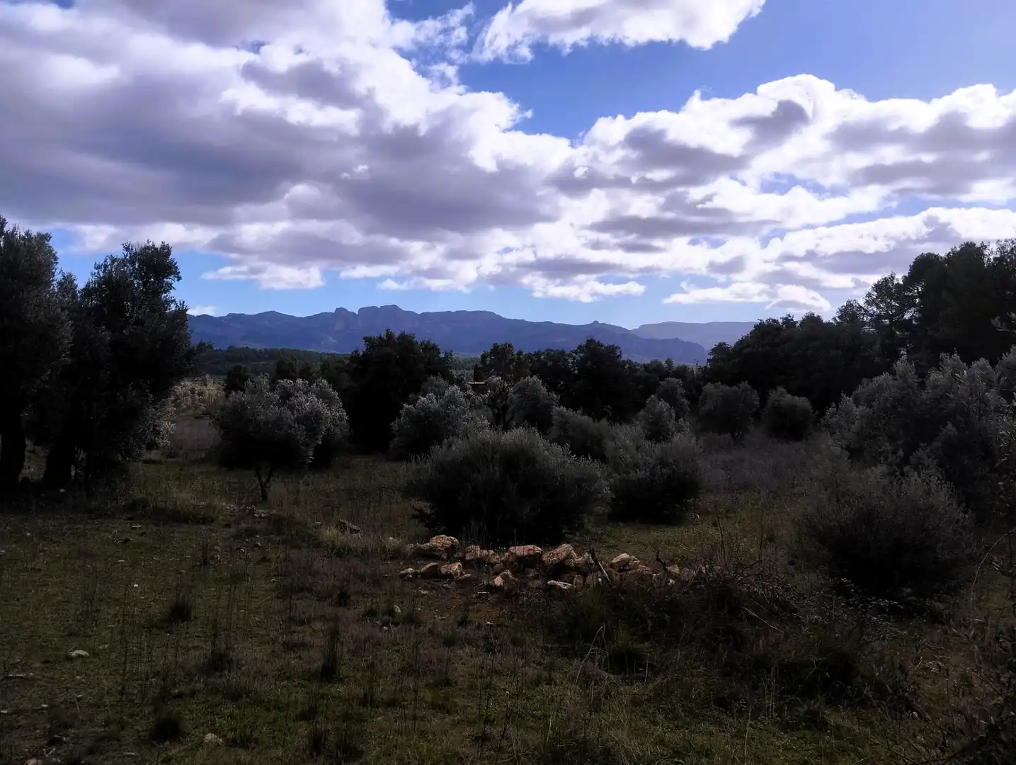 Terreni e lotti in vendita a Lledó, imagen 10