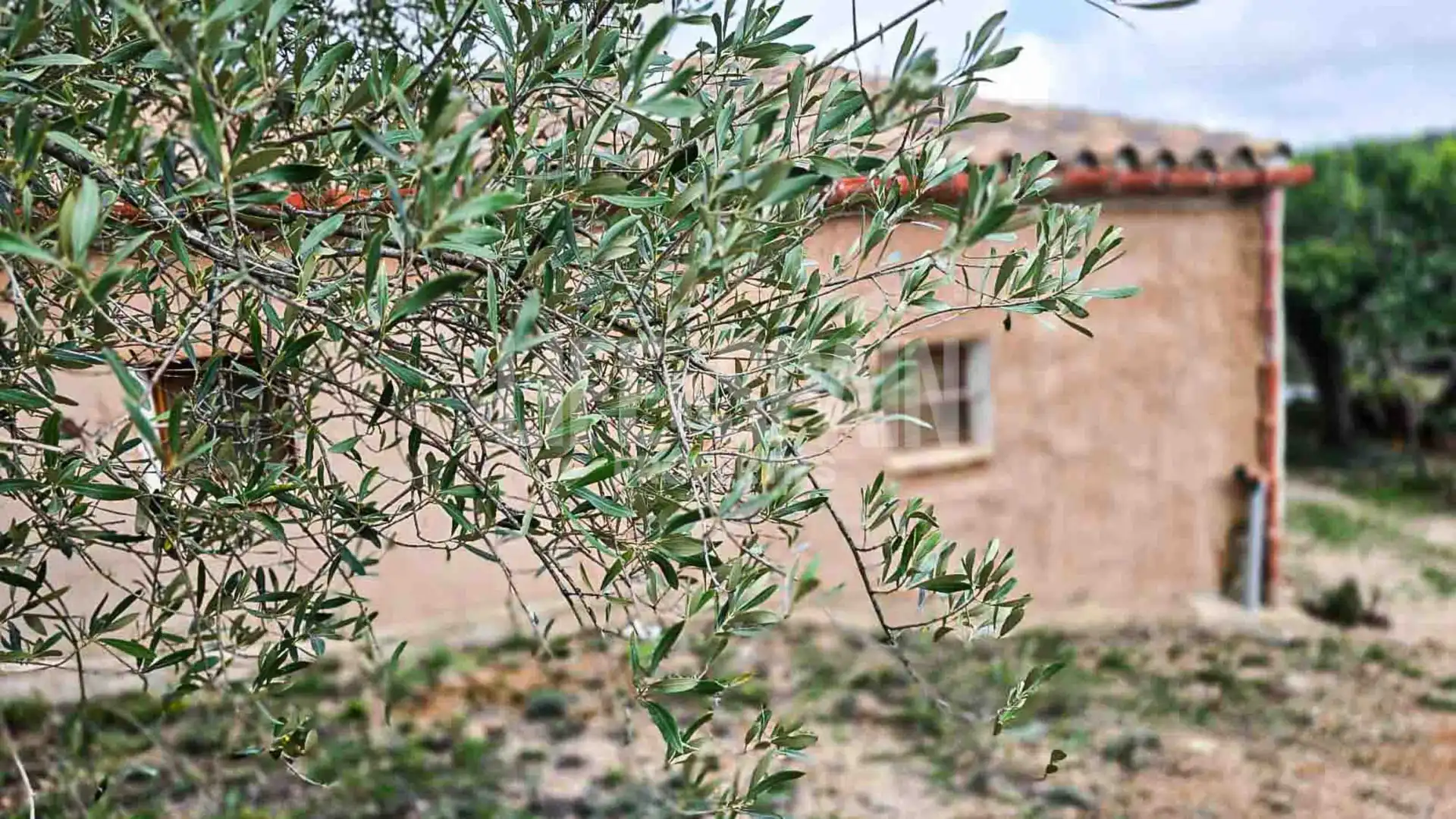 Finca rústica en venta en Bítem
