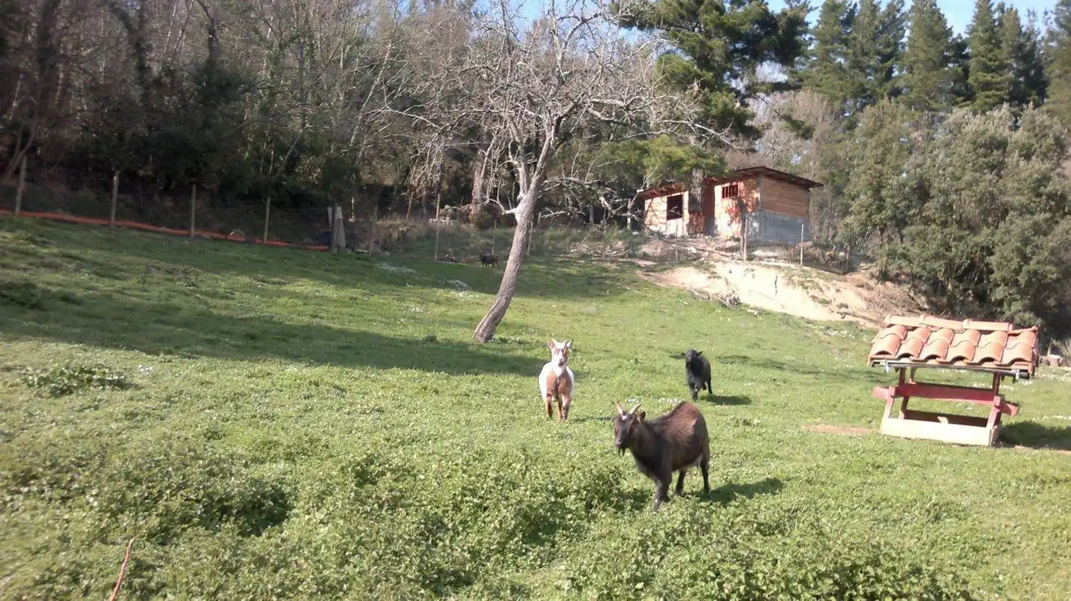 Maison avec jardin à vendre à Valle de Mena, imagen 6