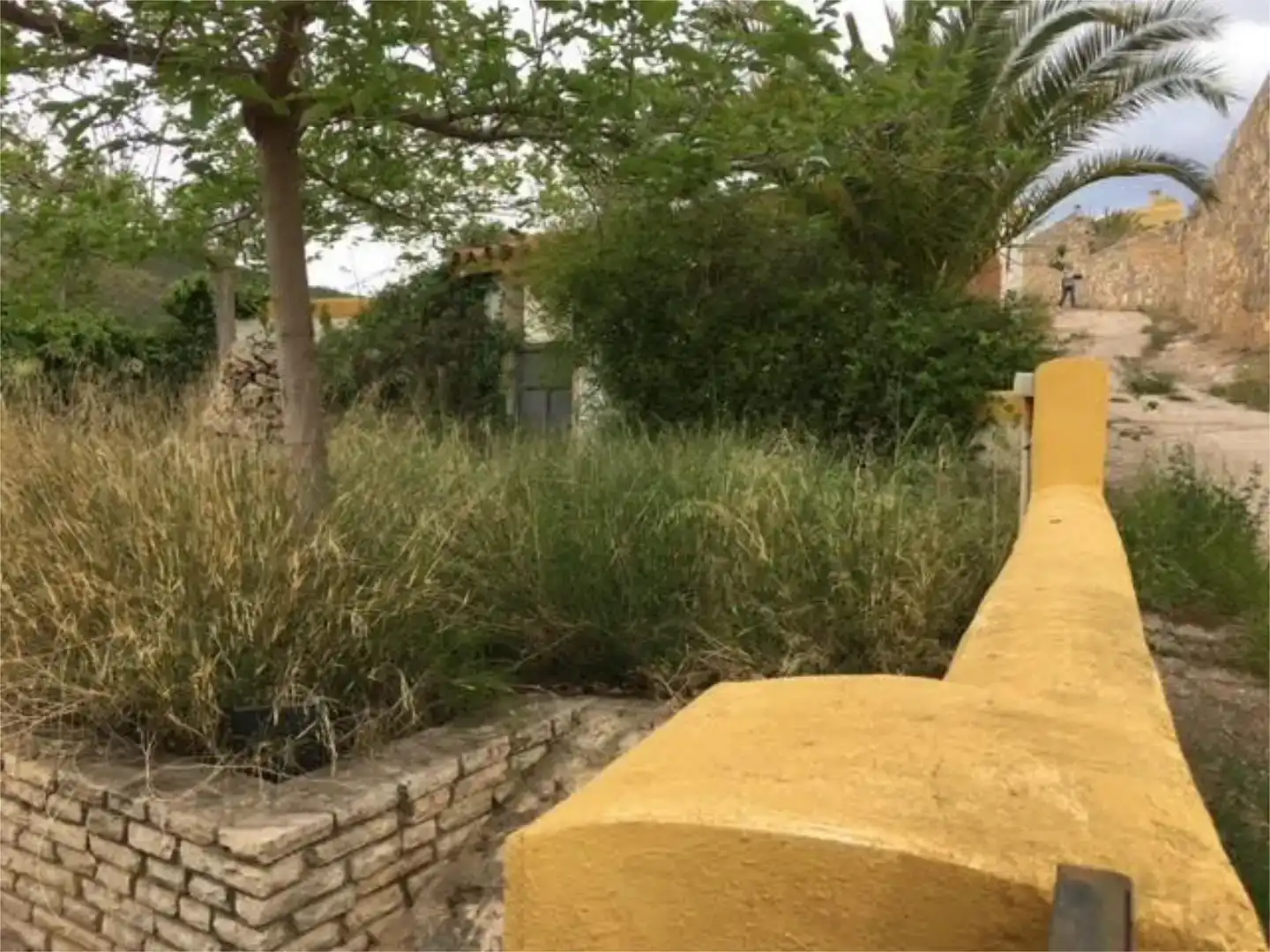 Grundstücke zum Verkauf in Figueroles
