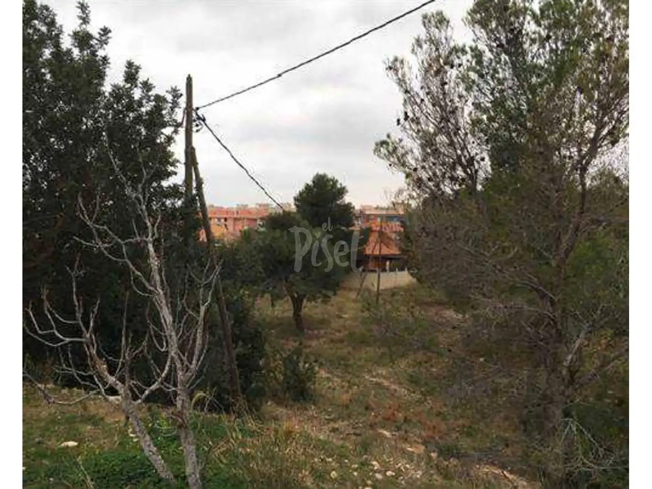 Terreno rústico en venta en Miami Platja, imagen 4