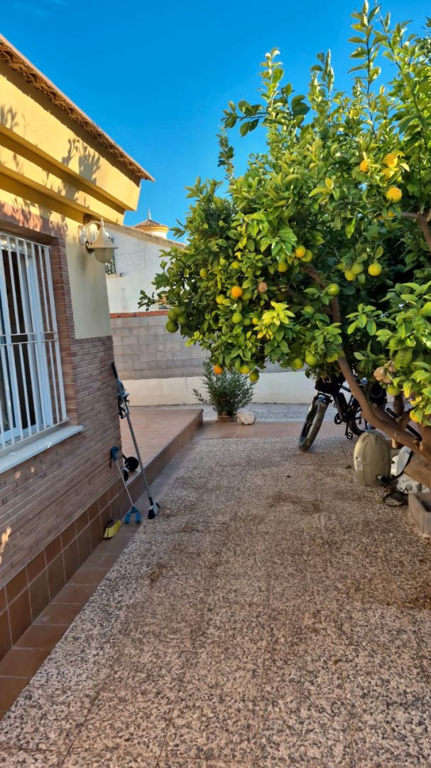 Vista exterior de Casa o xalet en venda en San Javier amb Aire condicionat i Jardí privat