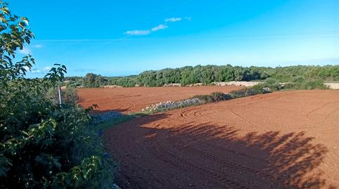 Foto 5 de Finca rústica en venda a Cala Blanca, Ciutadella de Menorca
