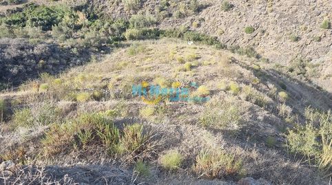 CASA DE CAMPO PARA REFORMAR CON PARCELA de 30.000 m2 CON POZO y 2 ACCIONES DE AGUA  TORROX, immagine 5