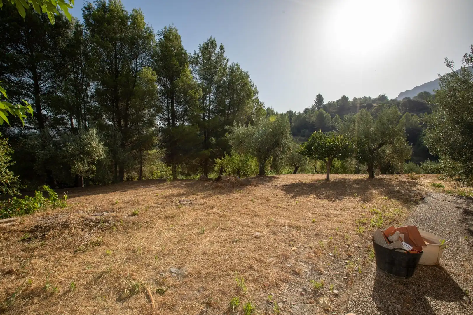 Casa o xalet en venda en Almudaina amb Moblat