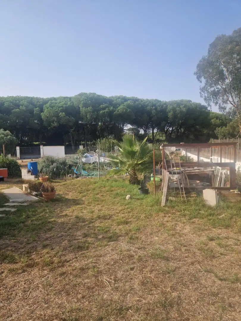 Garden of Country homes for sale in Puerto Real  with Private garden and Swimming Pool