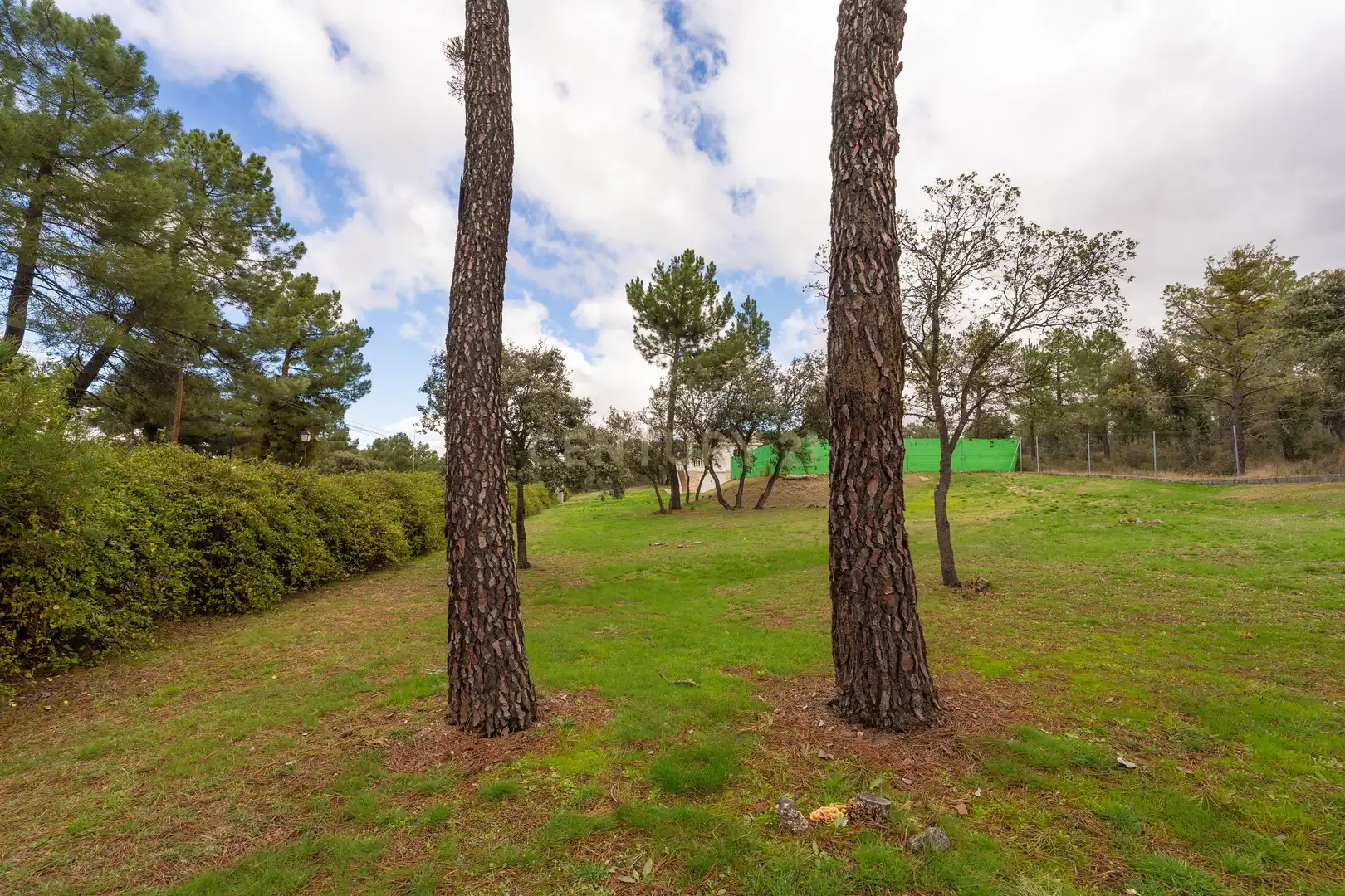 Casa o chalet en venta en Olivar, 492, Marugán