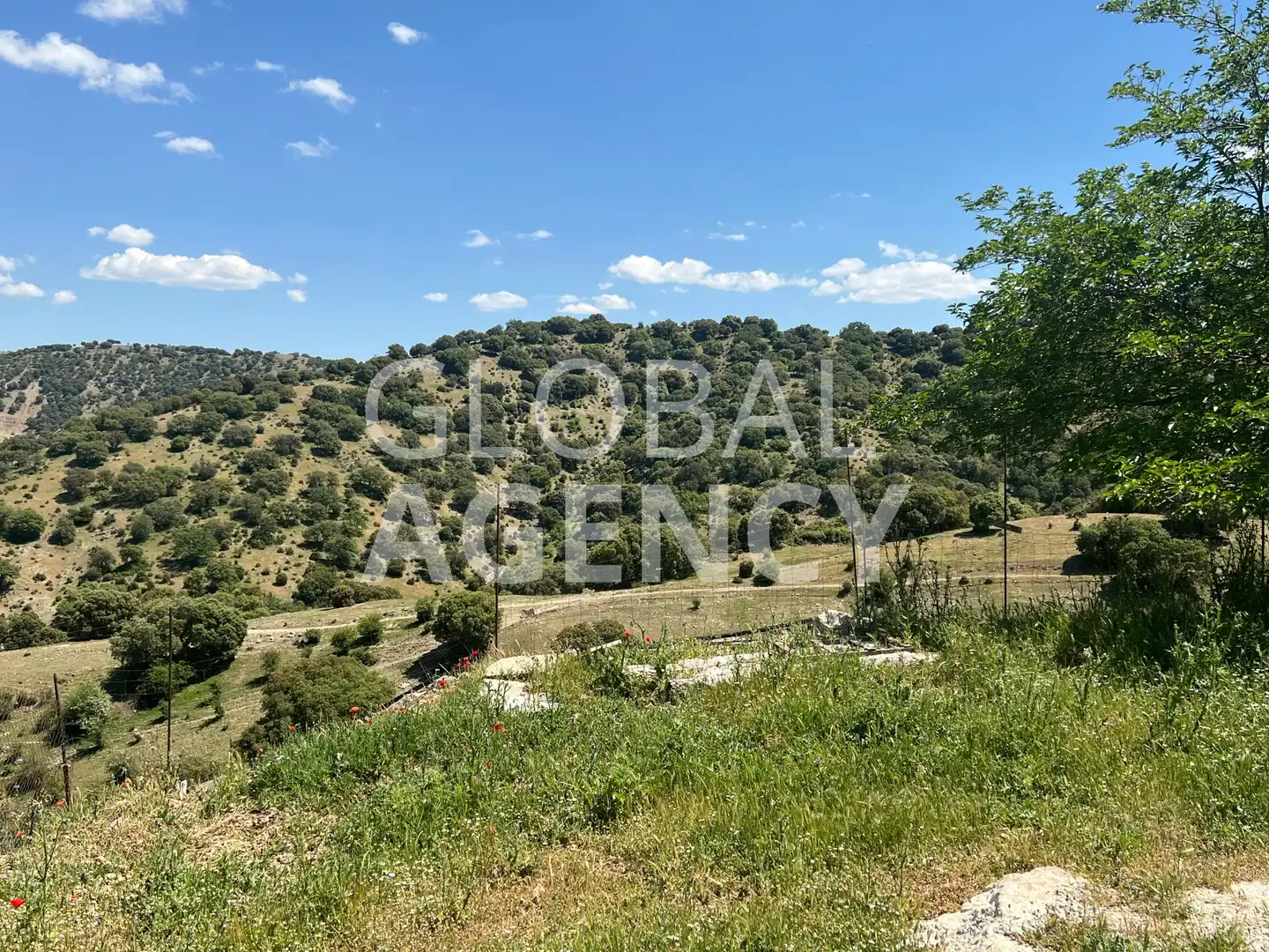 Terreny en venda en Jaén