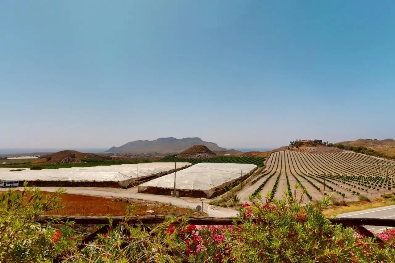 Jardí de Casa o xalet en venda en Lorca