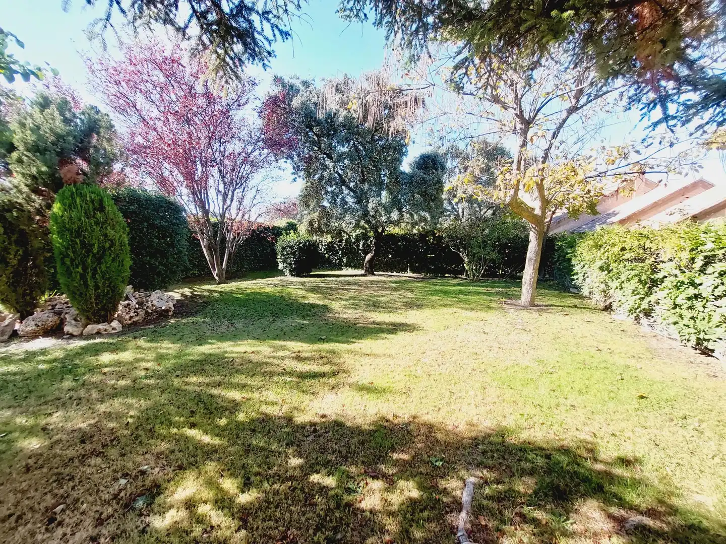 Garden of Houses for rent in Ciudalcampo  with Heating, Private garden and Terrace