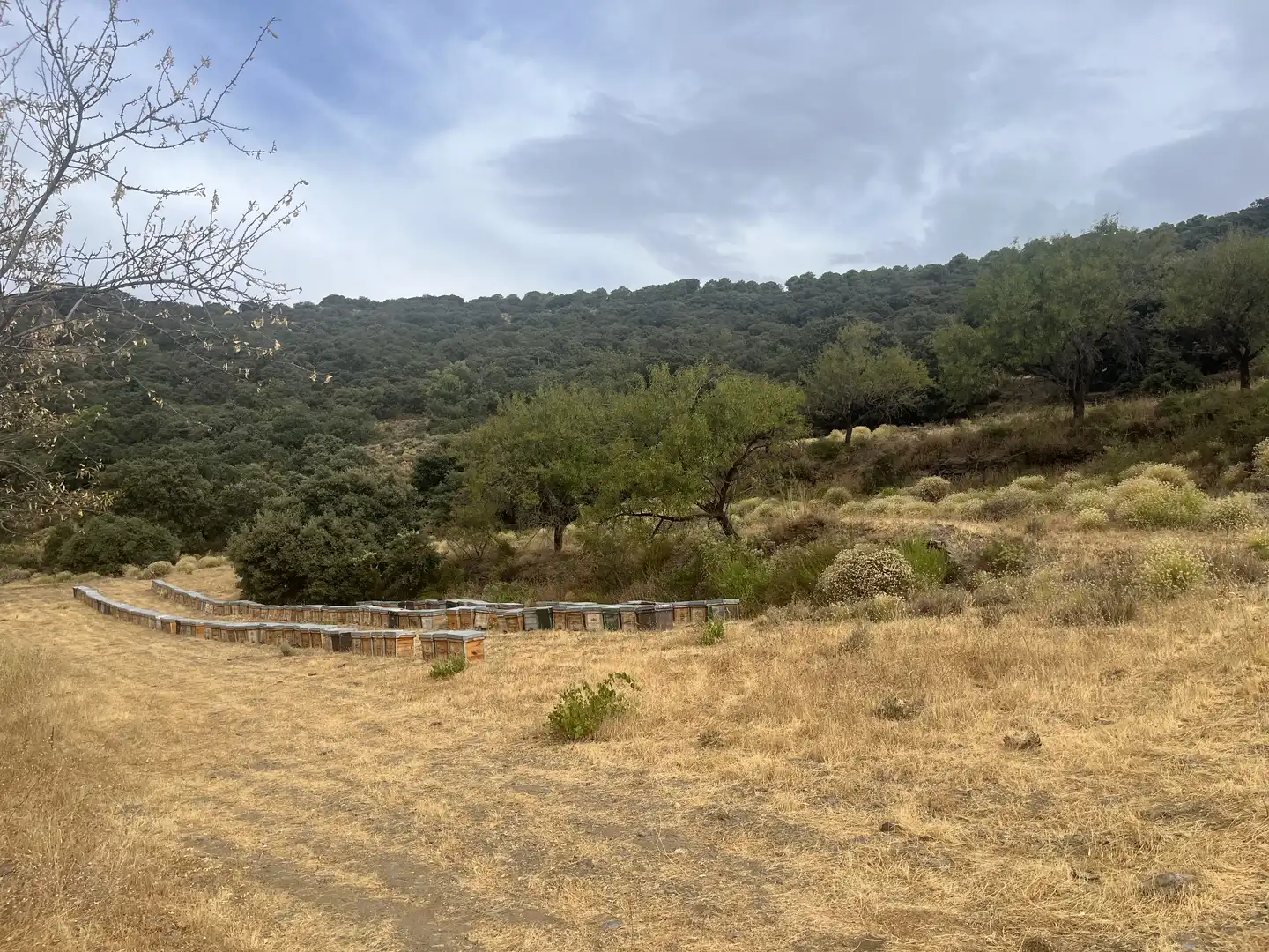 Terreno en venta en La Taha
