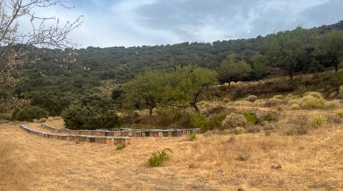 Photo 3 of Land for sale in A-4132, La Taha, Granada