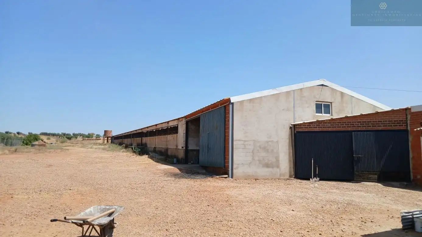 Vista exterior de Finca rústica en venta en Cristina