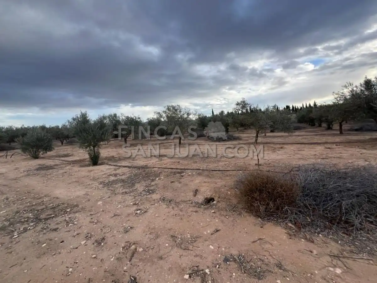 Country homes for sale in Biar