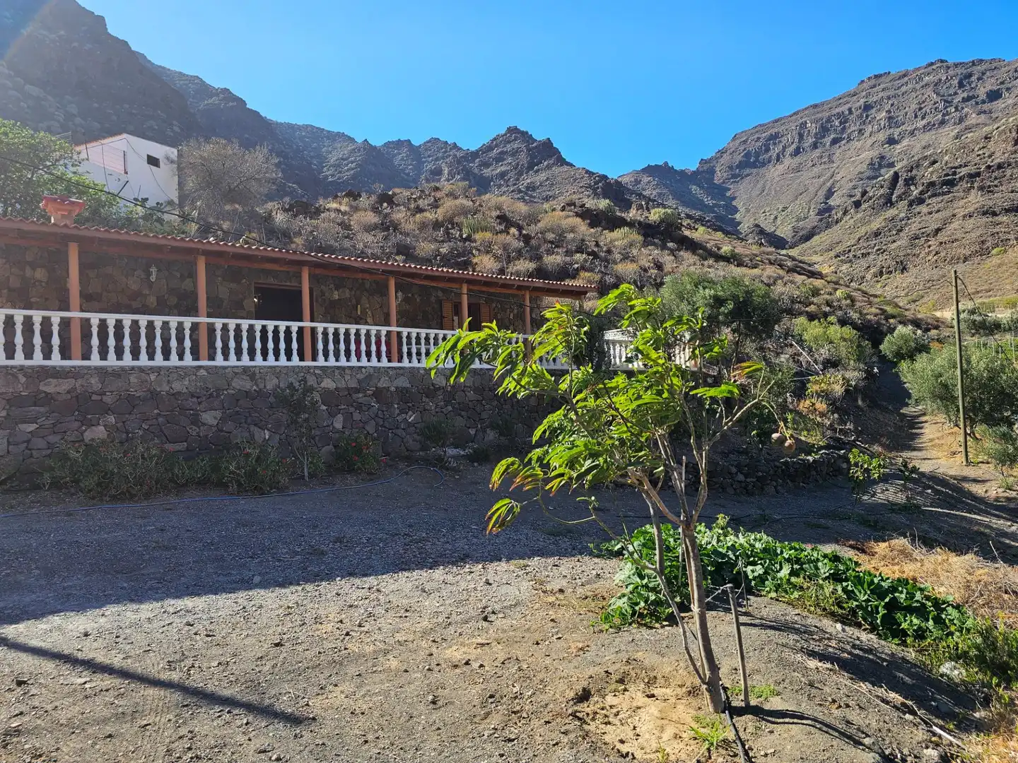 Vista exterior de Finca rústica en venta en La Aldea de San Nicolás  con Jardín privado, Terraza y Trastero
