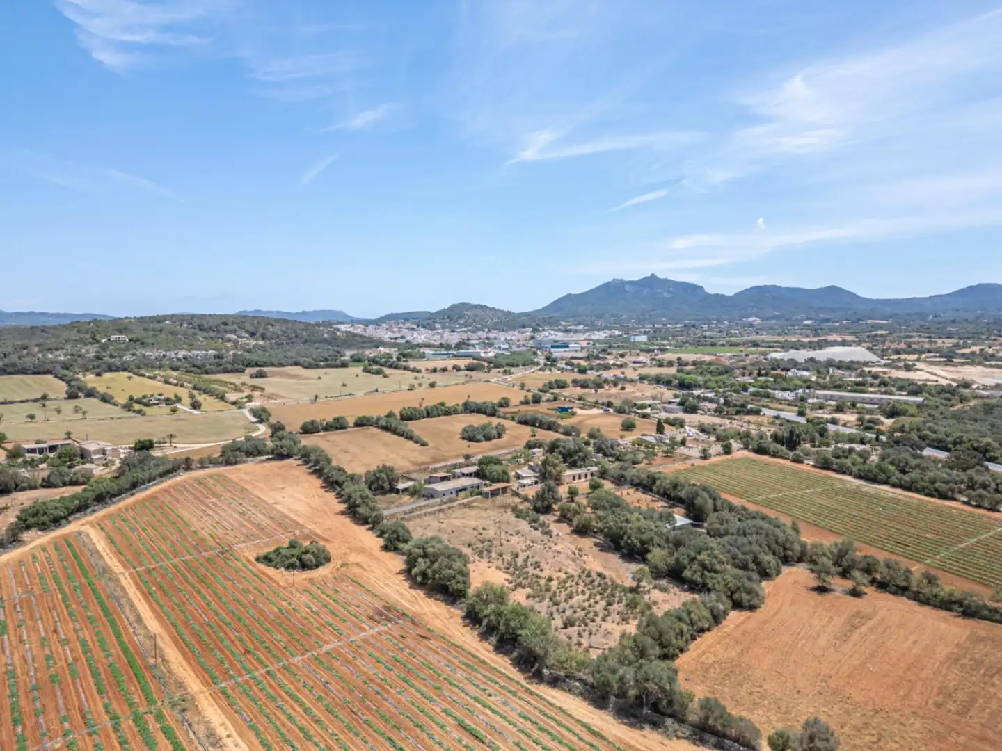 Terreno rustico in vendita a Felanitx Poble, imagen 13