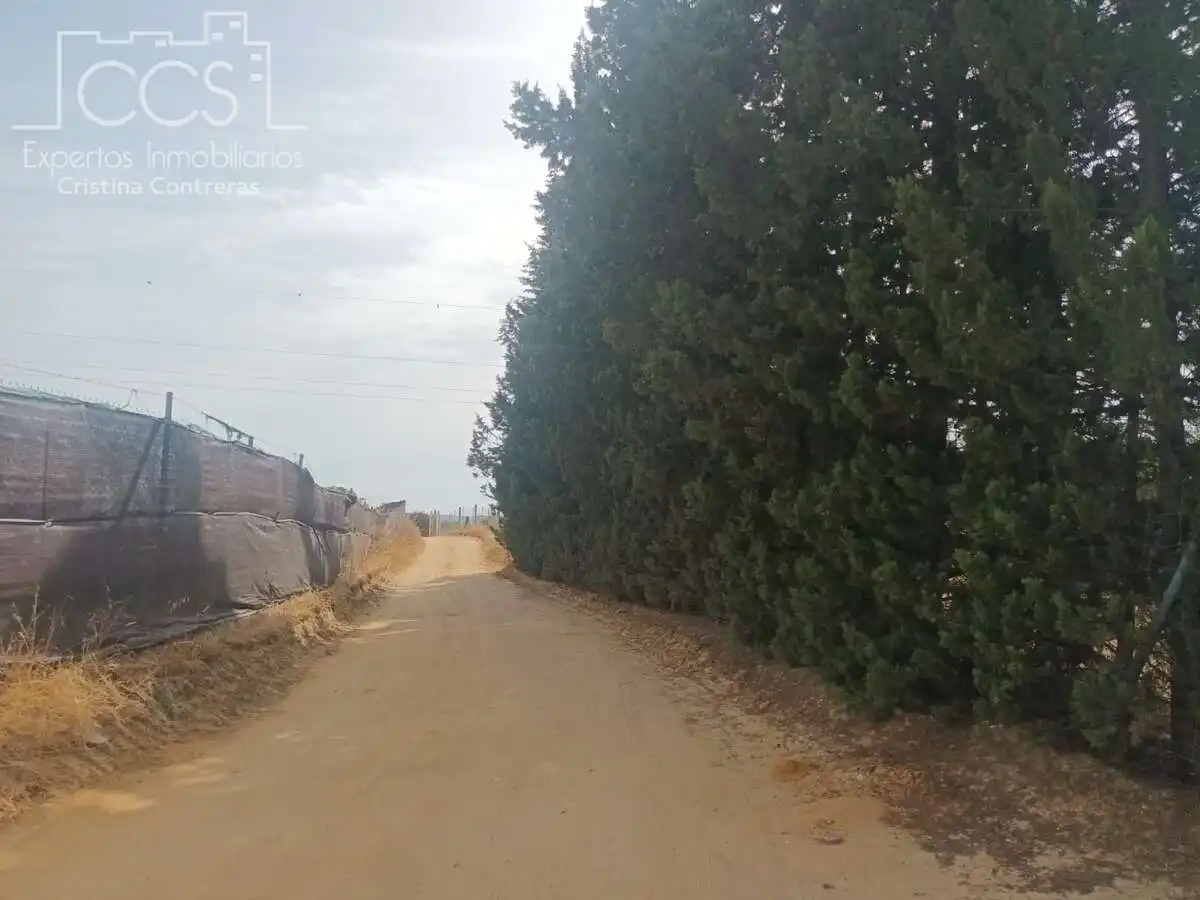 Casa rústica amb jardí en venda a Almonte ciudad, imagen 7