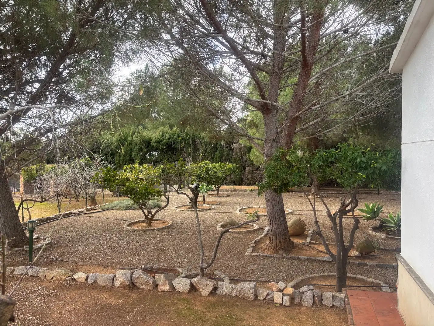 Garten von Grundstücke zum Verkauf in Reus
