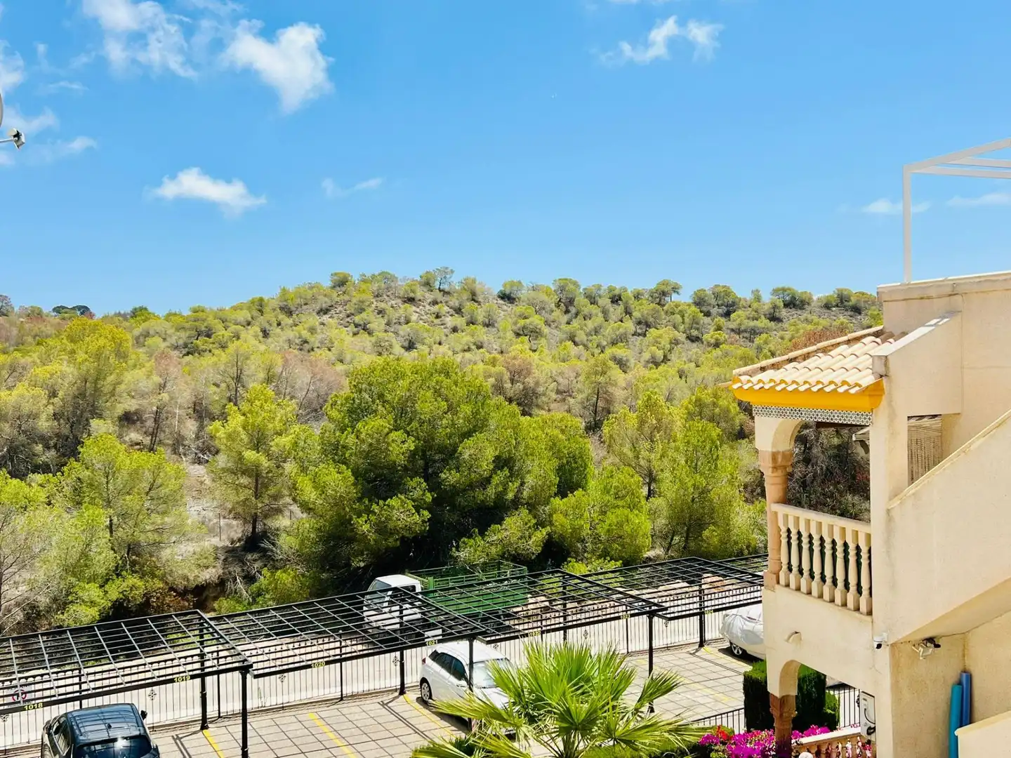 Apartamento con terraza en venta en Avenida de las Ramblas de Oleza, imagen 10