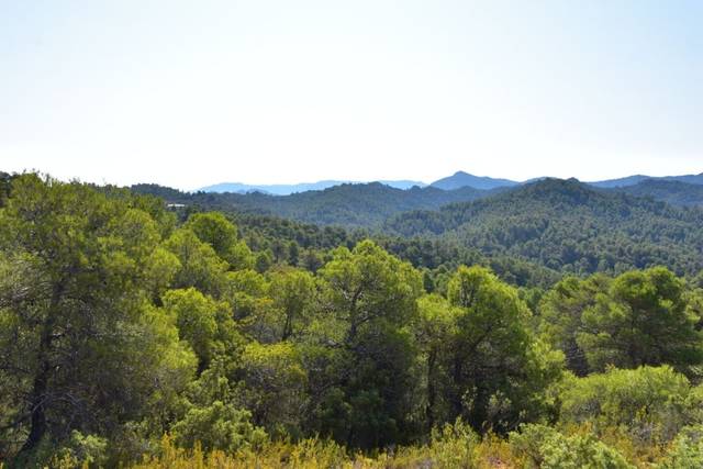 Finca rústica en Venta en A-231, 43 en Valderrobres