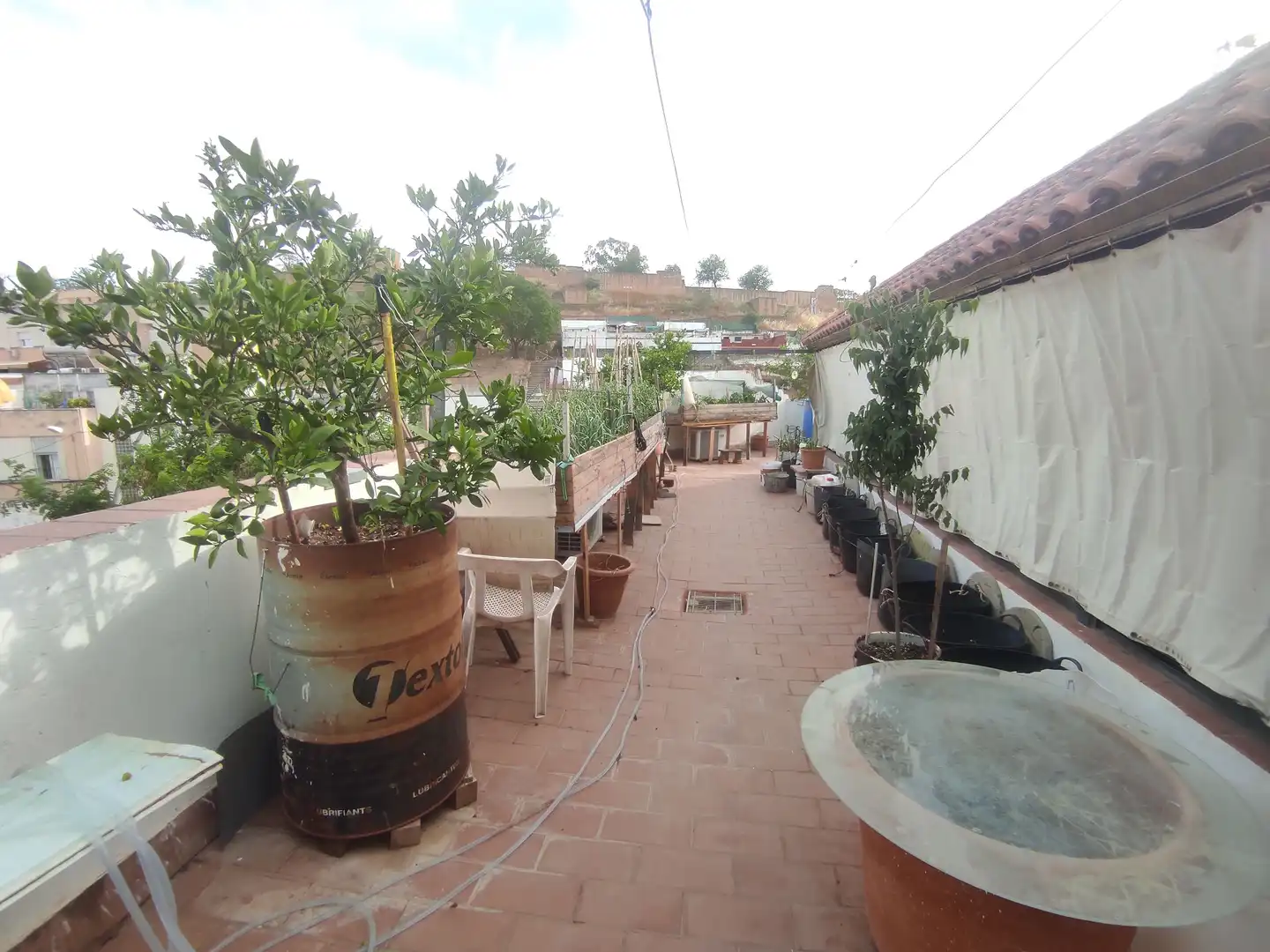 Finca rústica en venta en Calle Duquesa de Talavera, Centro