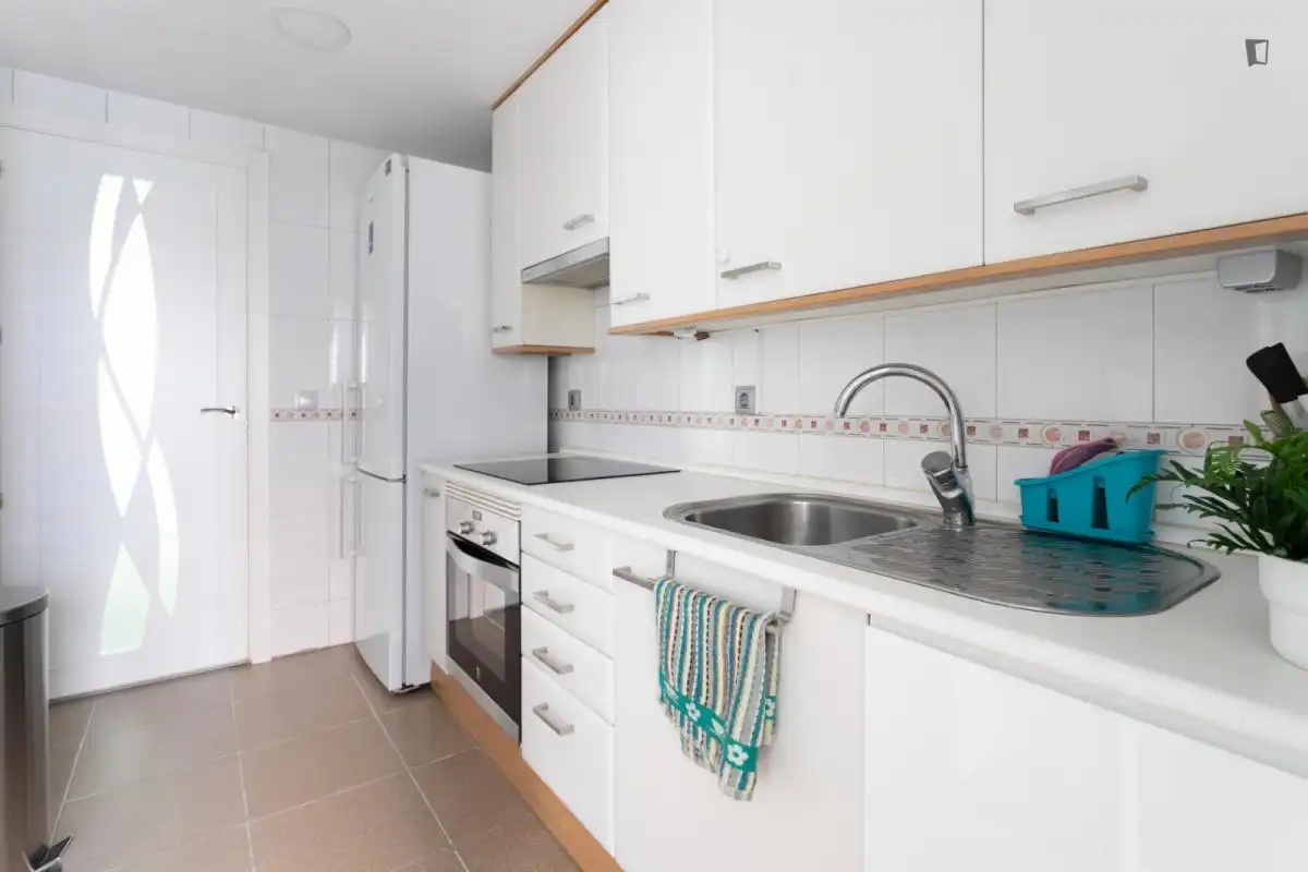 Kitchen of Apartments for rent in Madrid  with Heating, Furnished and Oven
