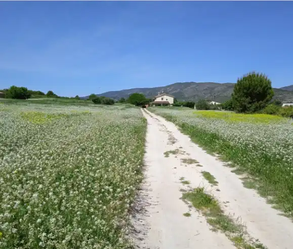 Terreno rustico in vendita a Agullent, imagen 2