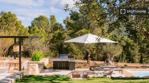 Photo 3 of Apartment to share in Sant Joan de Labritja, Illes Balears