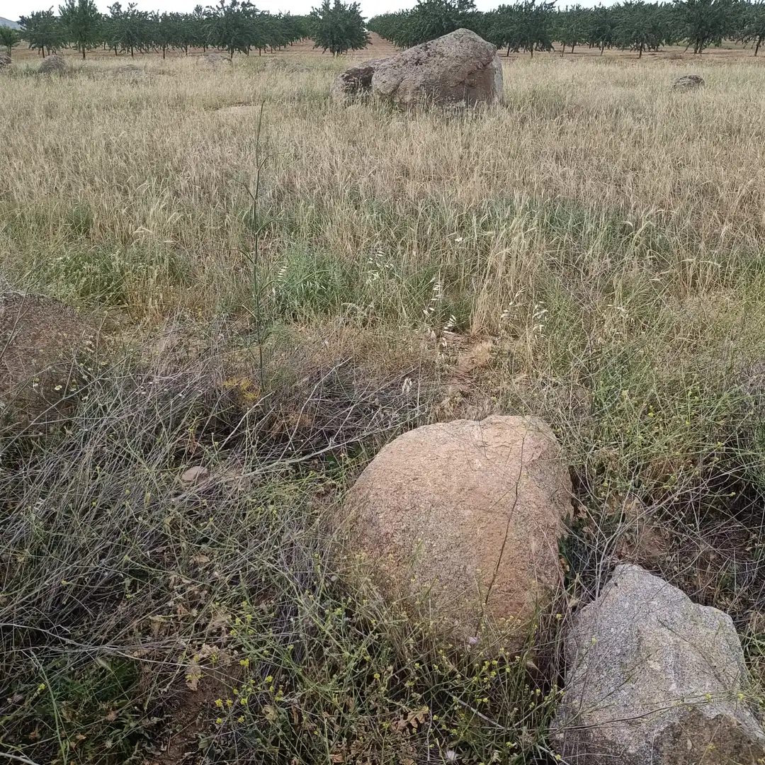 Terreni e lotti in vendita a Villaminaya, imagen 6